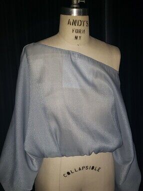 Sample Sky Blue Organza Semi Sheer Off The Shoulder Balloon Sleeves Crop Top M